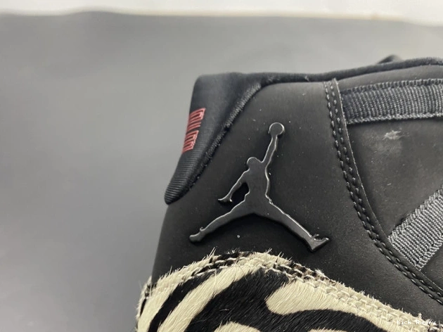 Kick Theory INSTINCT AR0715-010 ANIMAL JORDAN 11 AIR 0723